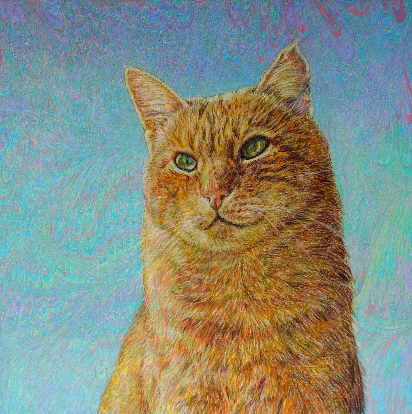 Vuole andare lontano. Gatto di Venezia