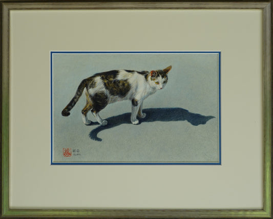 Una gatta in piazza. Bettona - Umbria