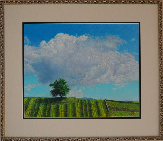 Cielo di maggio, villaggio Scomigo - Veneto