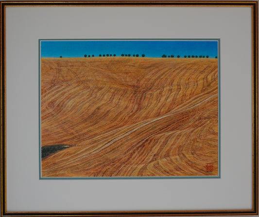 Stagione di raccolto dei Crete Senesi