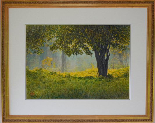 Sole che splende nel bosco in autunno, Veneto