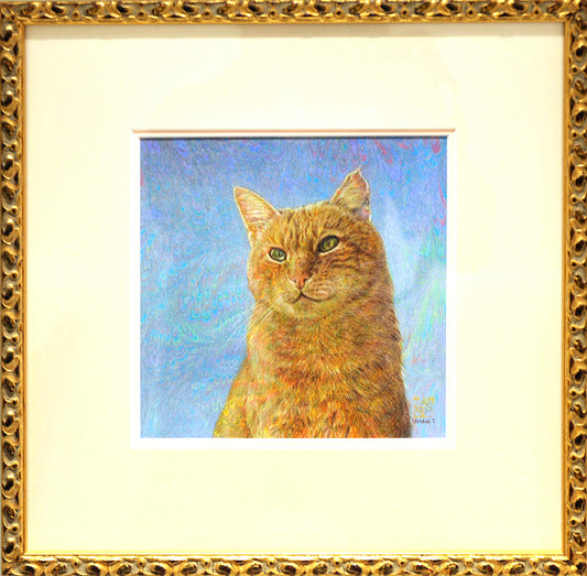 Vuole andare lontano. Gatto di Venezia