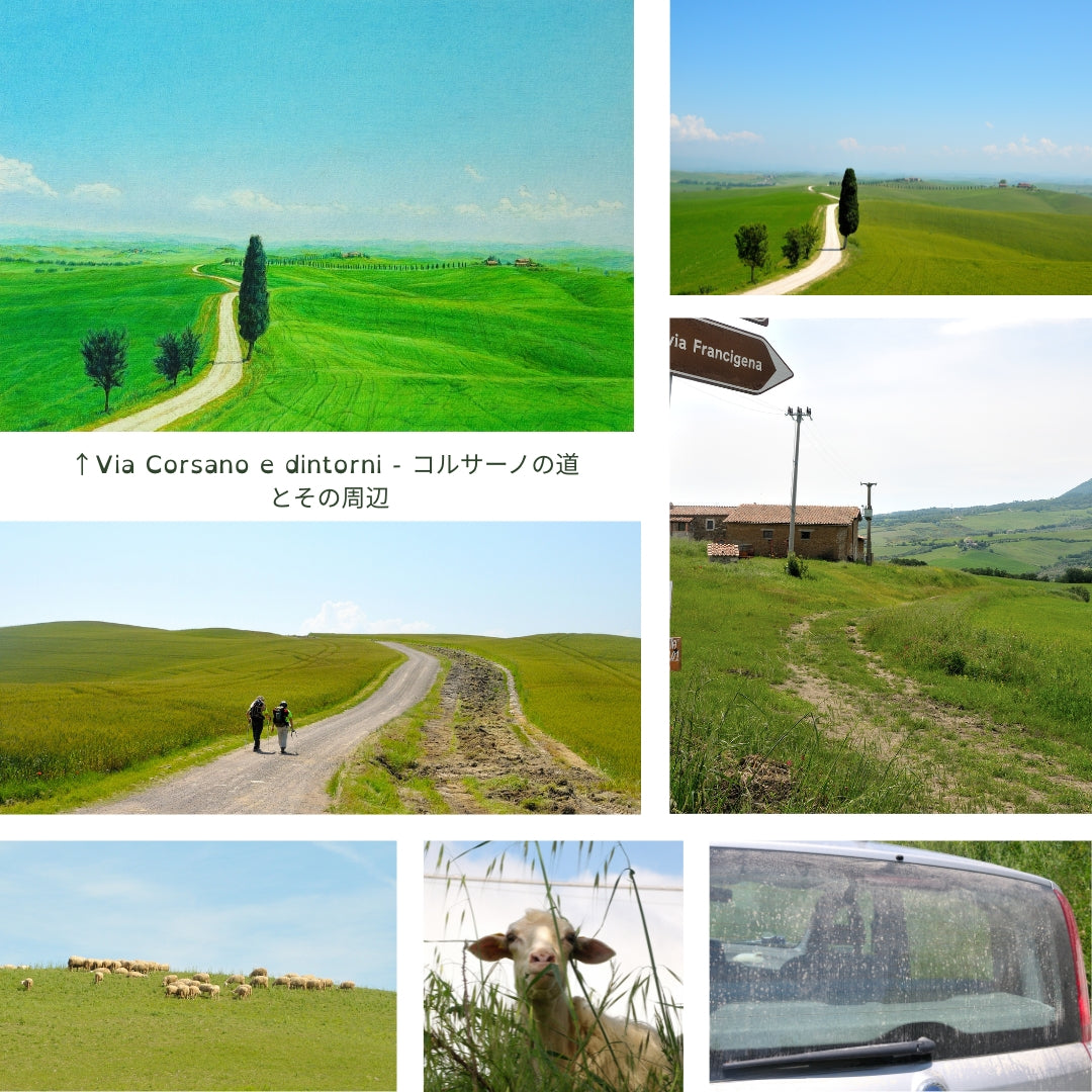 Strada di Corsano: Primavera in Toscana