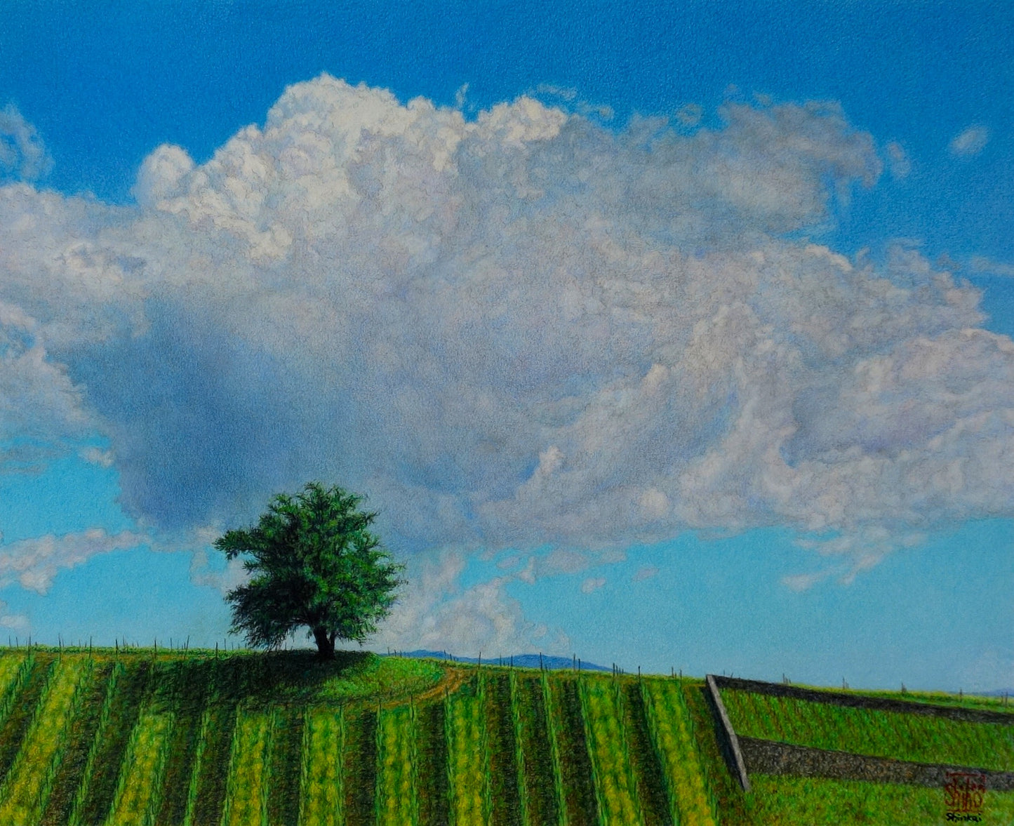Cielo di maggio, villaggio Scomigo - Veneto