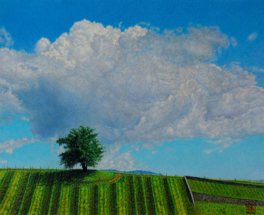 Cielo di maggio, villaggio Scomigo - Veneto