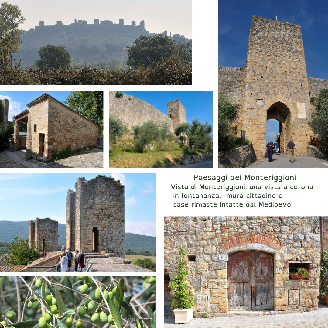 Vecchie mura di Monteriggioni - Toscana