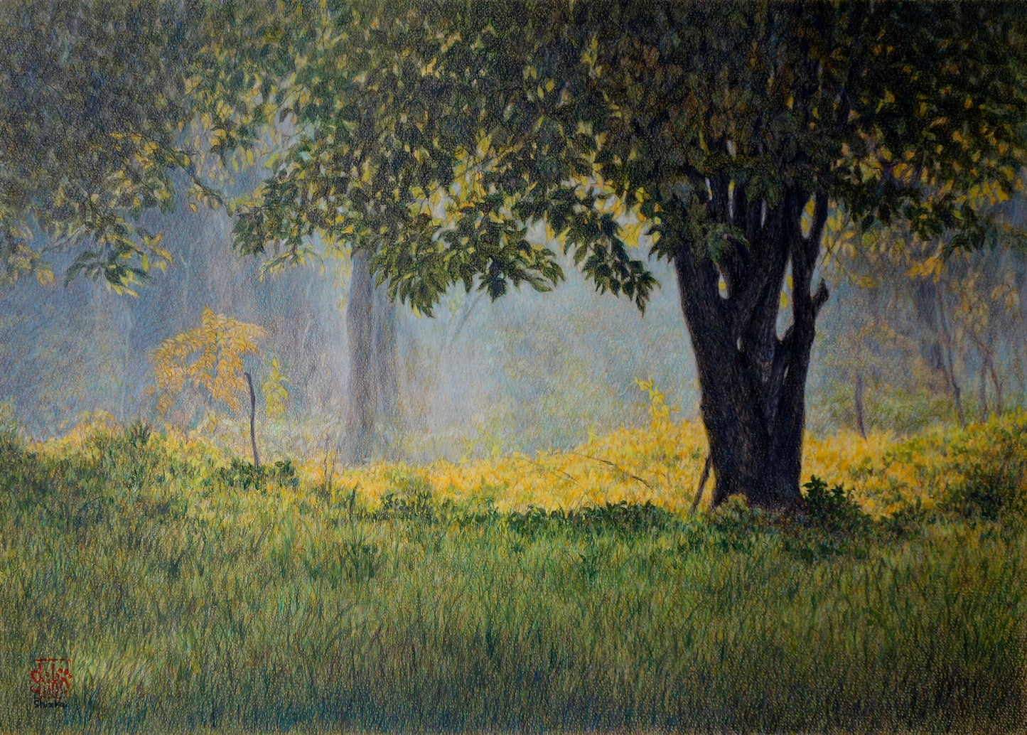 Sole che splende nel bosco in autunno, Veneto