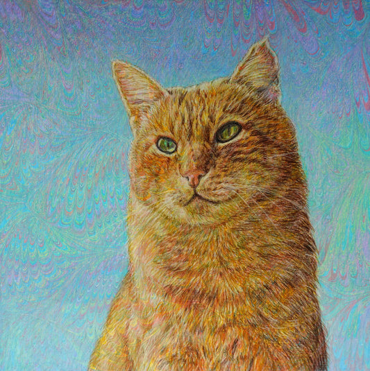 Vuole andare lontano. Gatto di Venezia