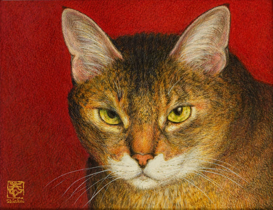 Il mio gatto grasso, Fini