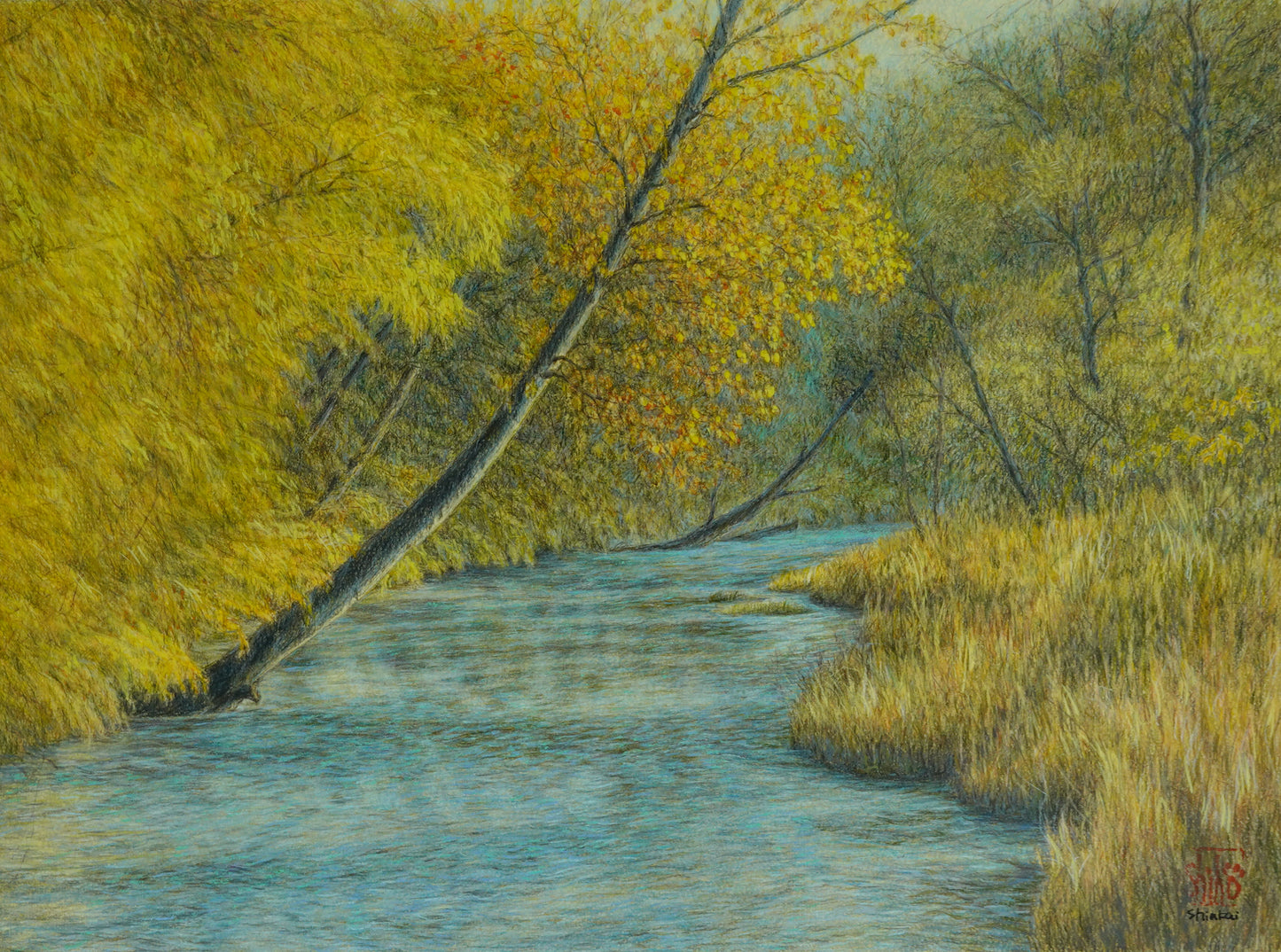 Acqua di sorgente che scorre, tardo mattino autunnale - Veneto