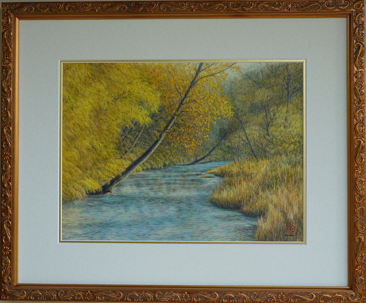 Acqua di sorgente che scorre, tardo mattino autunnale - Veneto