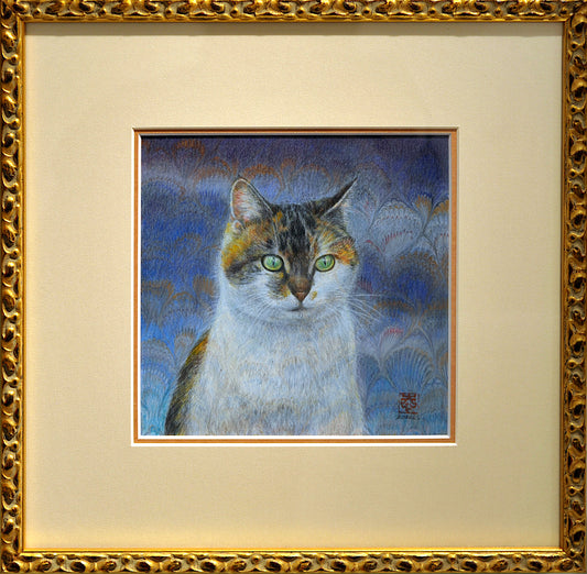 Trovato!  Gatto di Friuli