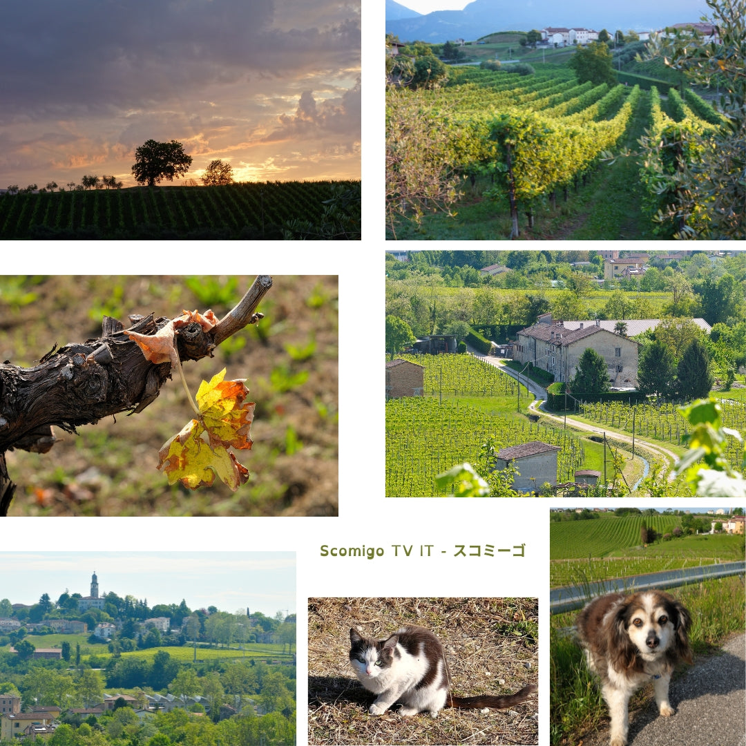 Cielo di maggio, villaggio Scomigo - Veneto