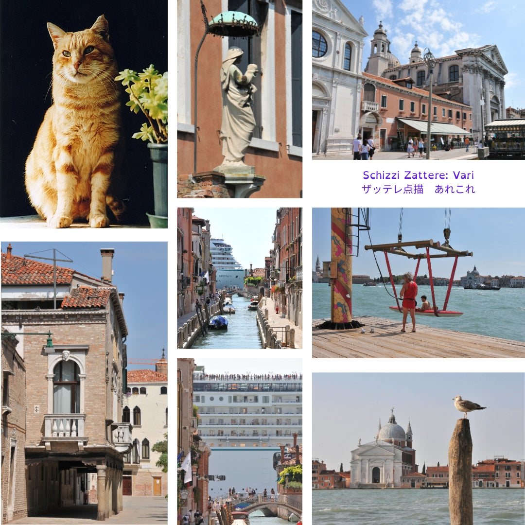 Vuole andare lontano. Gatto di Venezia