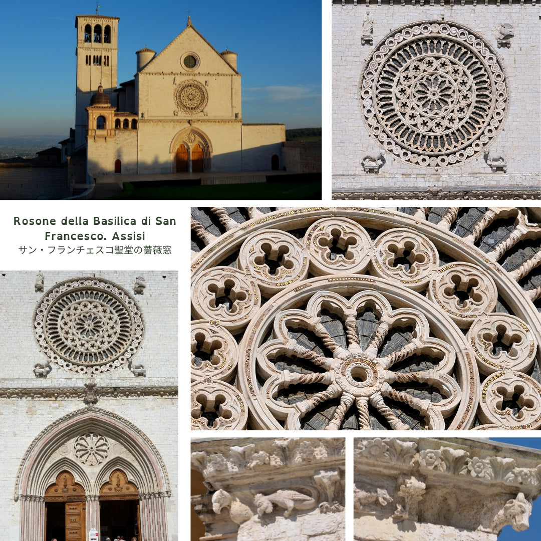 Rosone, Basilica di Assisi