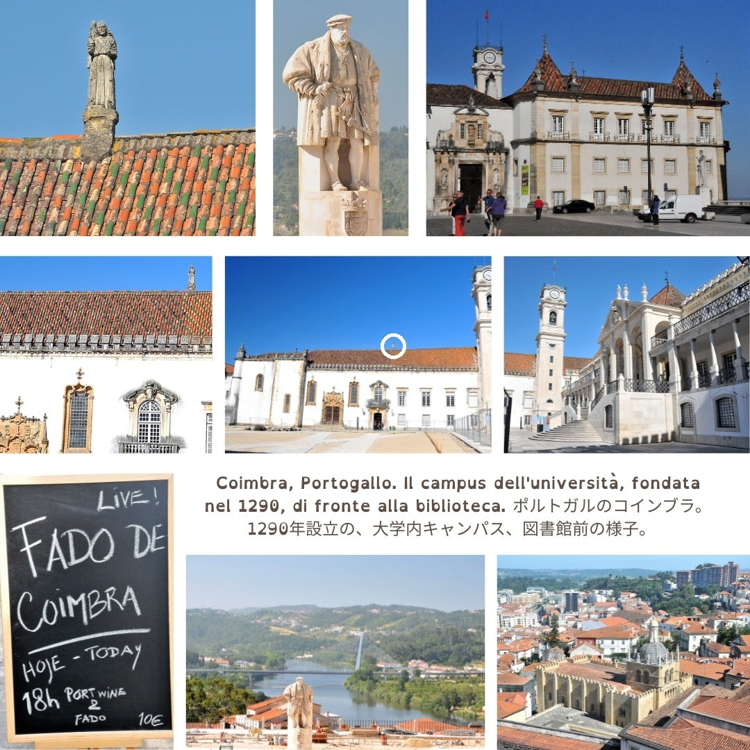 L'angelo sopra il tetto, Università di Coimbra