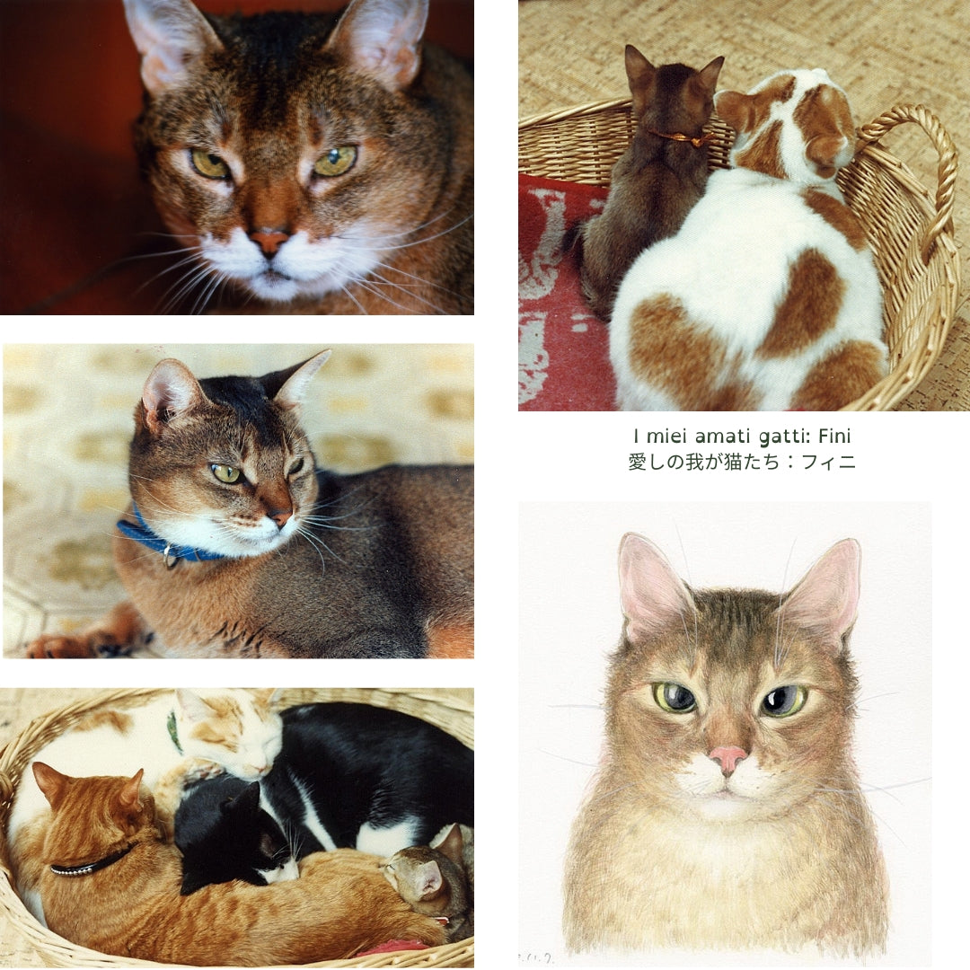 Il mio gatto grasso, Fini