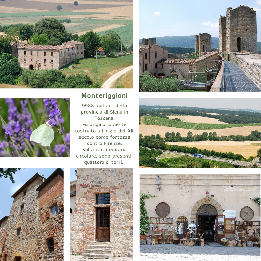Vecchie mura di Monteriggioni - Toscana