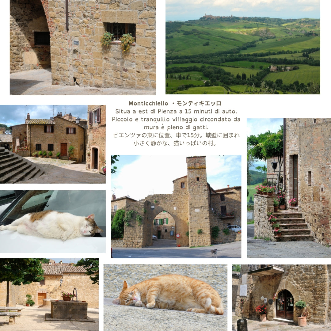 Sole del mattino,  Monticchiello - Toscana