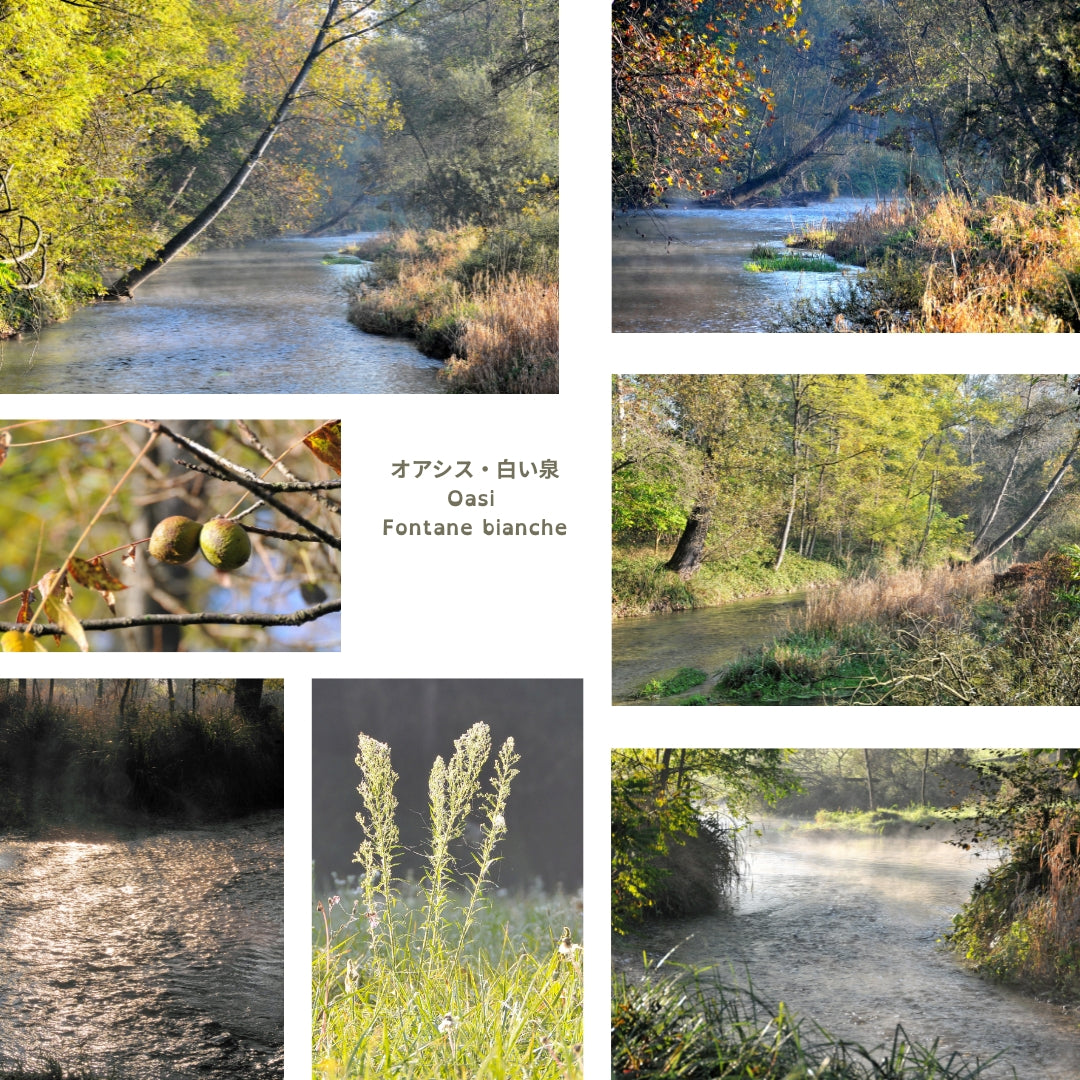 Acqua di sorgente che scorre, tardo mattino autunnale - Veneto