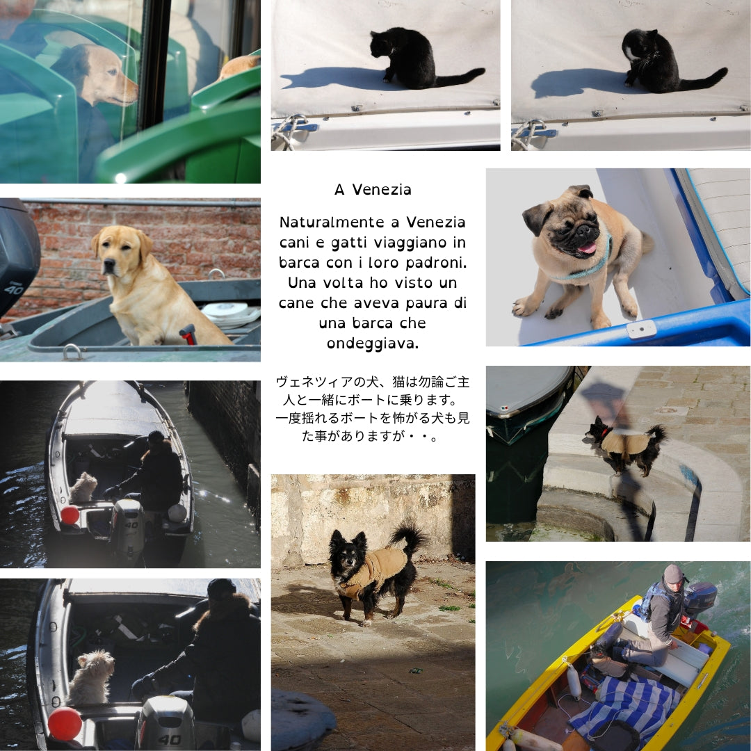 Ormeggio di gondole, Venezia